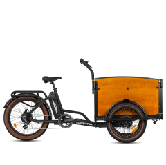 E-325 Electric Cargo Reverse Trike E-325 Electric Cargo Reverse Trike